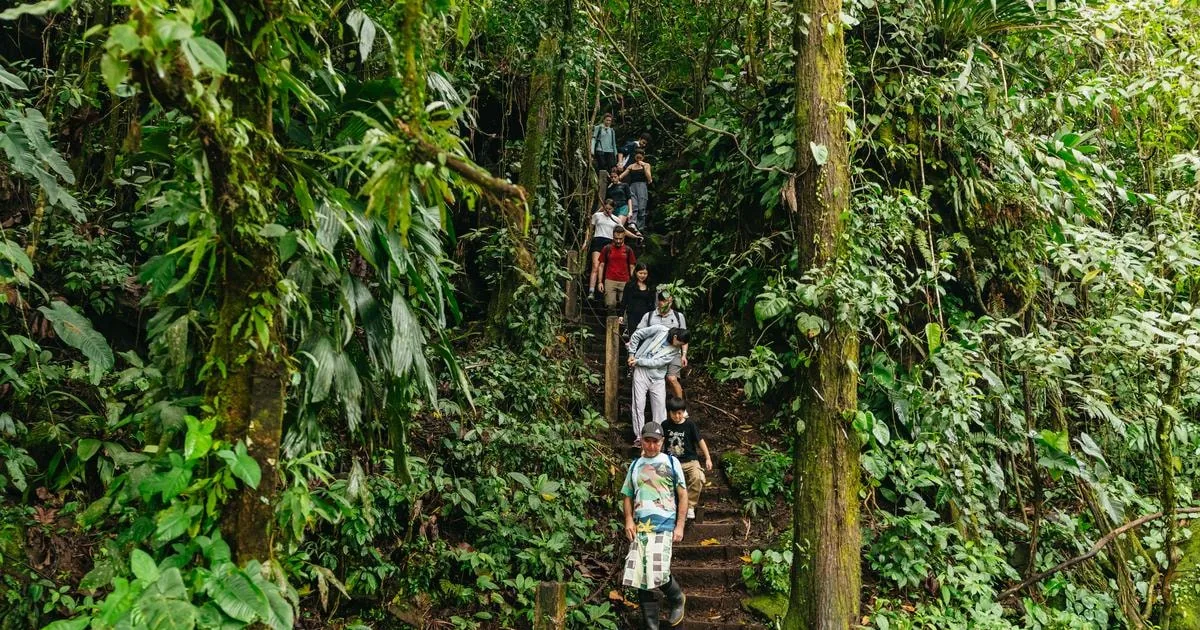 The most-booked full-day tour